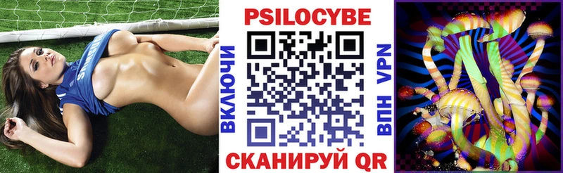 Псилоцибиновые грибы Psilocybe  Чкаловск 